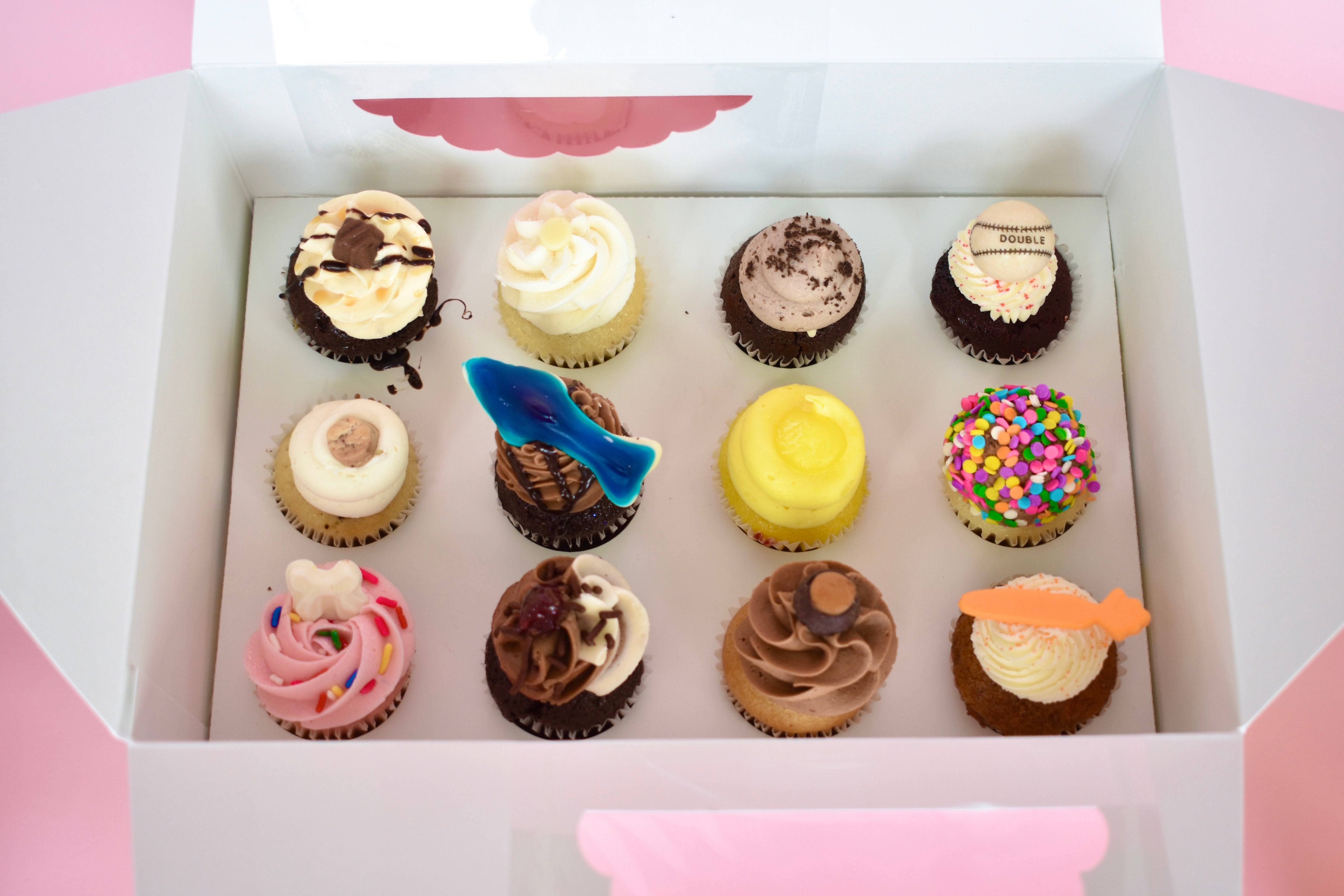 THE MINI CUPCAKE for MEAL ミニカップケーキの本と雑貨 Mini Cupcakes - Delicious Bite-Sized Treats from Jenna Rae Cakes
