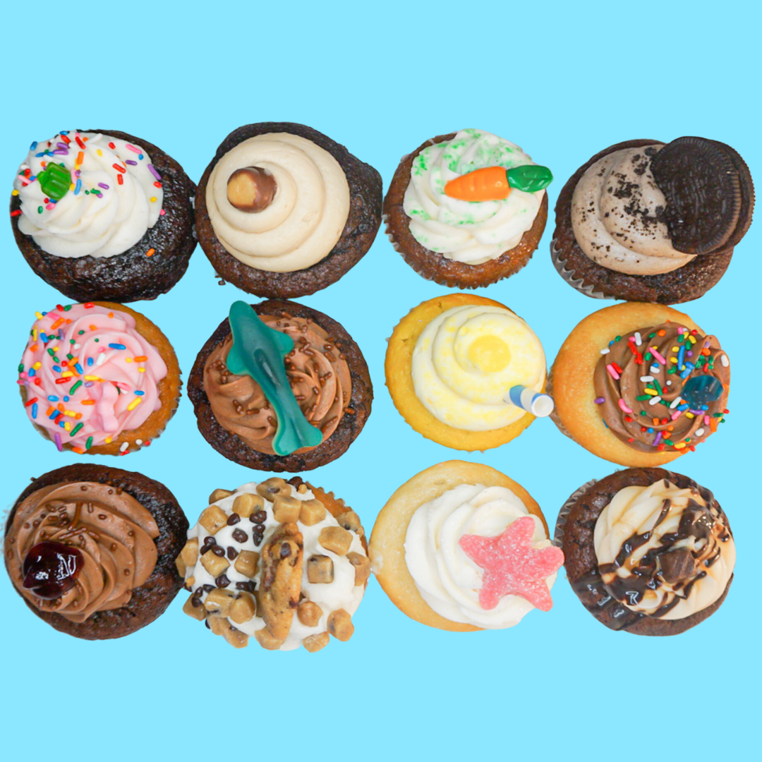 dozen-regular-cupcakes-little-miss-cupcape